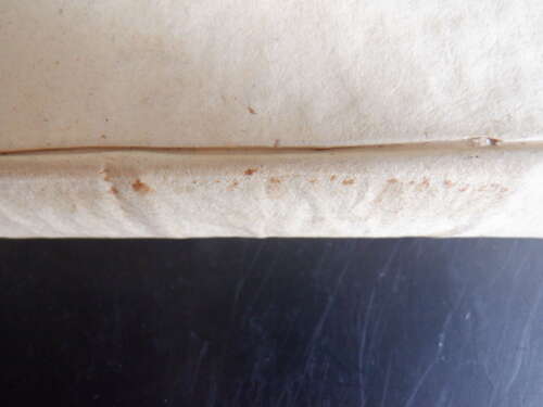 1790 Johann Gottfried Eichhorn Einleitung Alte Testament Vol III Hebrew Bible